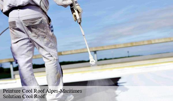 Peinture Cool Roof 06 Alpes-Maritimes Solution Cool Roof