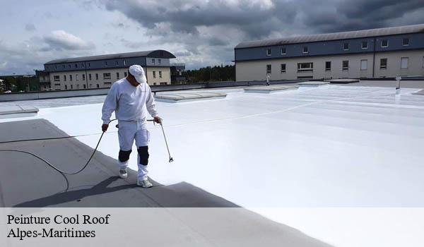 Peinture Cool Roof 06 Alpes-Maritimes Solution Cool Roof