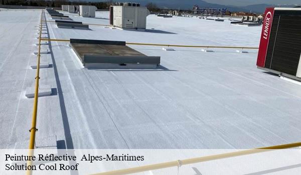 Peinture Réflective 06 Alpes-Maritimes Solution Cool Roof