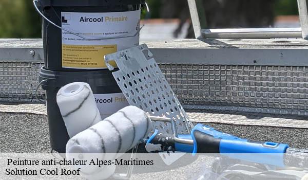 Peinture anti-chaleur 06 Alpes-Maritimes Solution Cool Roof