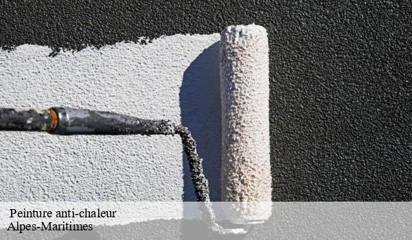 Peinture anti-chaleur 06 Alpes-Maritimes Solution Cool Roof