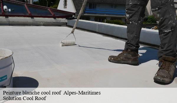 Peinture blanche cool roof 06 Alpes-Maritimes Solution Cool Roof