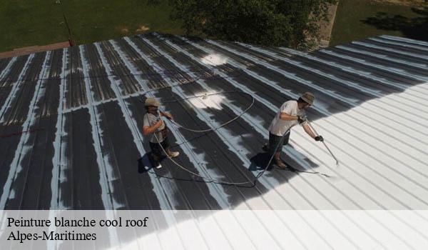 Peinture blanche cool roof 06 Alpes-Maritimes Solution Cool Roof