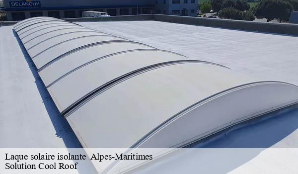 Laque solaire isolante 06 Alpes-Maritimes Solution Cool Roof