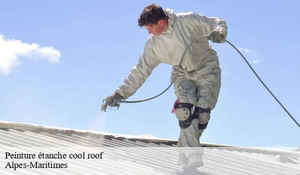 Peinture étanche cool roof 06 Alpes-Maritimes Solution Cool Roof