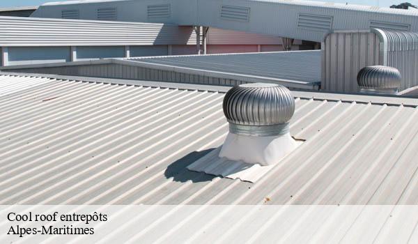 Cool roof entrepôts 06 Alpes-Maritimes Solution Cool Roof