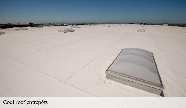 Cool roof entrepôts 06 Alpes-Maritimes Solution Cool Roof