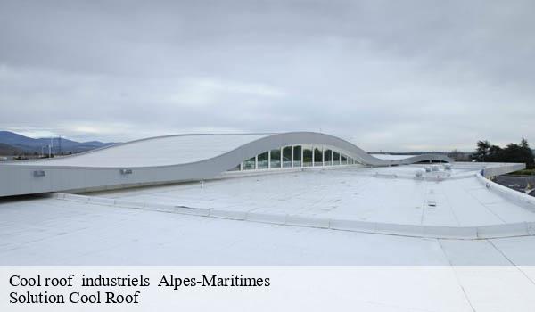 Cool roof industriels 06 Alpes-Maritimes Solution Cool Roof