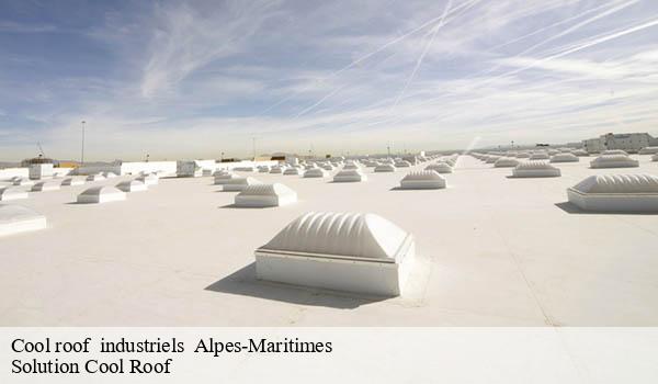 Cool roof industriels 06 Alpes-Maritimes Solution Cool Roof