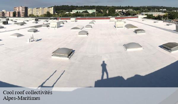 Cool roof collectivités 06 Alpes-Maritimes Solution Cool Roof