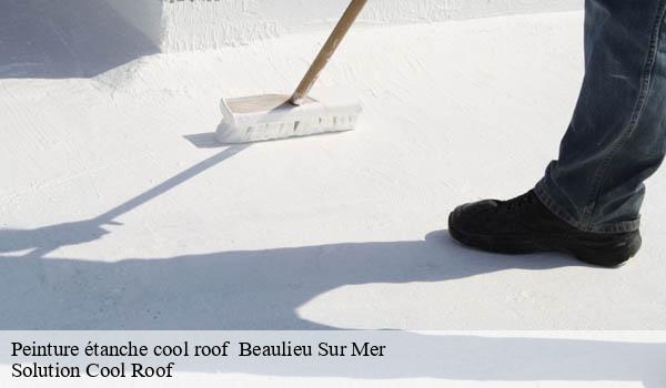 Peinture étanche cool roof beaulieu-sur-mer-06310 Solution Cool Roof