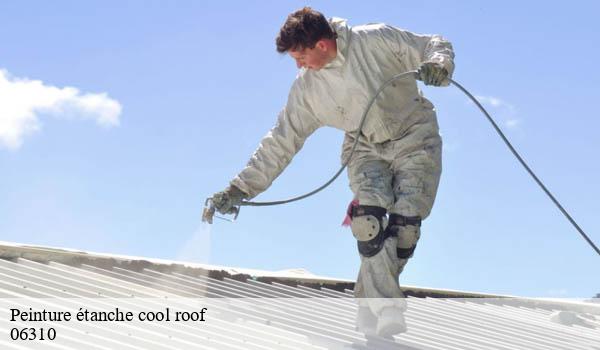 Peinture étanche cool roof beaulieu-sur-mer-06310 Solution Cool Roof