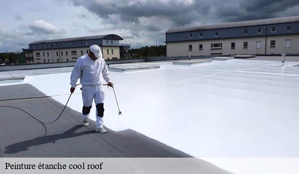 Peinture étanche cool roof beaulieu-sur-mer-06310 Solution Cool Roof