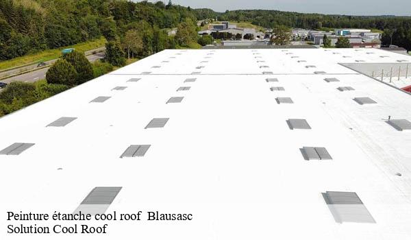 Peinture étanche cool roof   blausasc-06440 Solution Cool Roof 