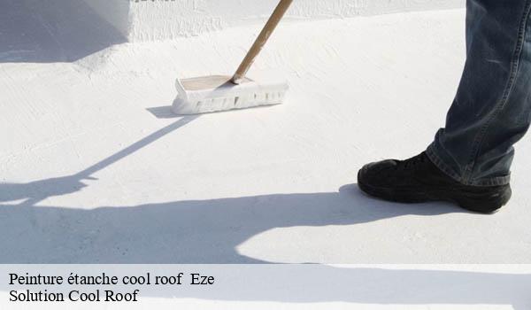 Peinture étanche cool roof   eze-06360 Solution Cool Roof 