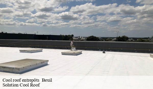 Cool roof entrepôts beuil-06470 Solution Cool Roof