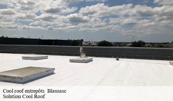 Cool roof entrepôts blausasc-06440 Solution Cool Roof