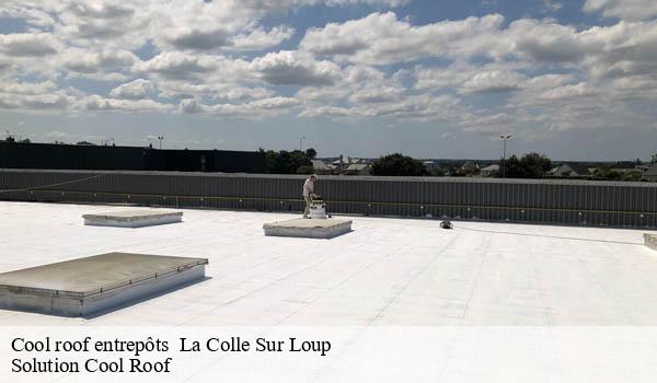 Cool roof entrepôts la-colle-sur-loup-06480 Solution Cool Roof