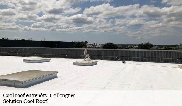 Cool roof entrepôts collongues-06910 Solution Cool Roof