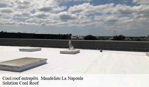 Cool roof entrepôts mandelieu-la-napoule-06210 Solution Cool Roof