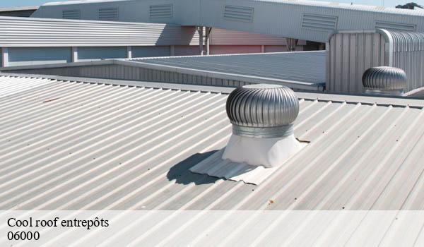 Cool roof entrepôts nice-06000 Solution Cool Roof