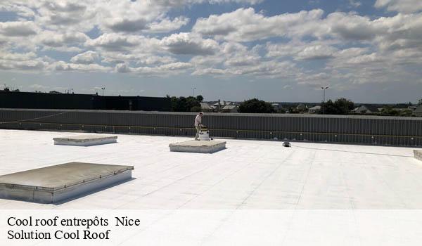 Cool roof entrepôts nice-06000 Solution Cool Roof