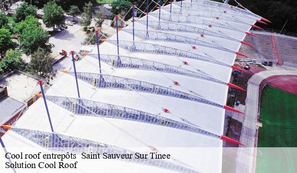 Cool roof entrepôts saint-sauveur-sur-tinee-06420 Solution Cool Roof