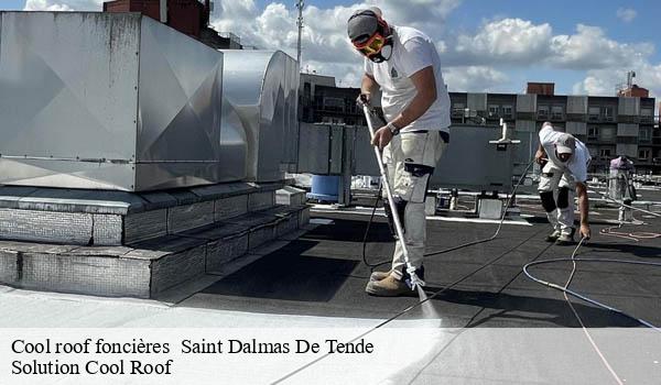 Cool roof foncières saint-dalmas-de-tende-06430 Solution Cool Roof
