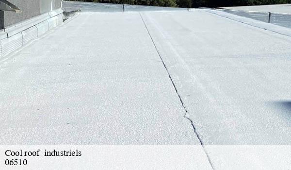 Cool roof industriels le-broc-06510 Solution Cool Roof