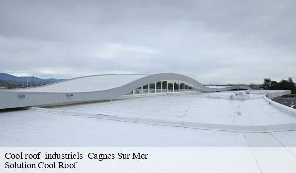 Cool roof industriels cagnes-sur-mer-06800 Solution Cool Roof