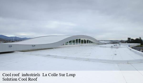 Cool roof industriels la-colle-sur-loup-06480 Solution Cool Roof