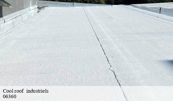 Cool roof industriels eze-06360 Solution Cool Roof