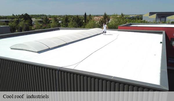 Cool roof industriels eze-06360 Solution Cool Roof