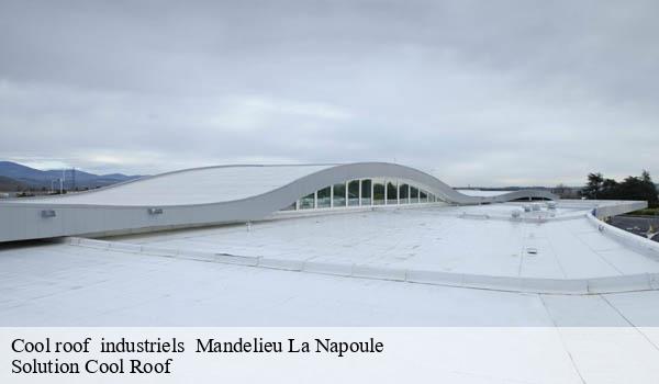 Cool roof industriels mandelieu-la-napoule-06210 Solution Cool Roof