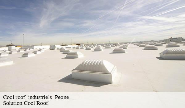 Cool roof industriels peone-06470 Solution Cool Roof