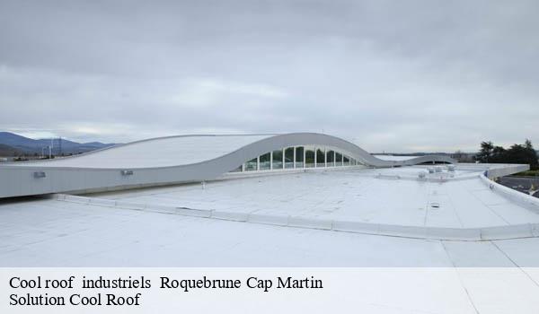 Cool roof industriels roquebrune-cap-martin-06190 Solution Cool Roof