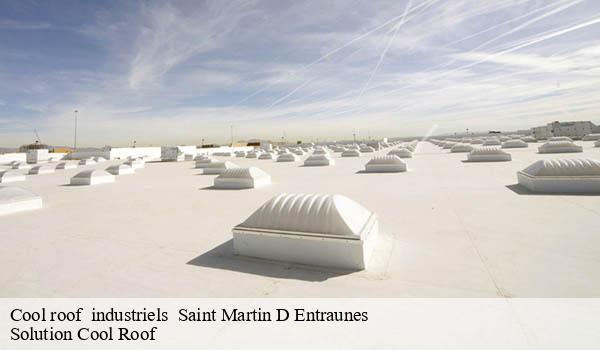 Cool roof industriels saint-martin-d-entraunes-06470 Solution Cool Roof