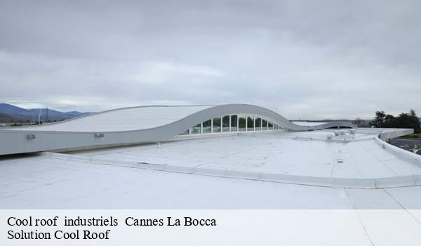 Cool roof industriels cannes-la-bocca-06150 Solution Cool Roof