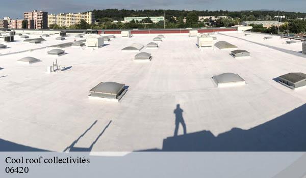 Cool roof collectivités ilonse-06420 Solution Cool Roof