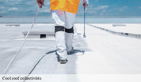 Cool roof collectivités ilonse-06420 Solution Cool Roof