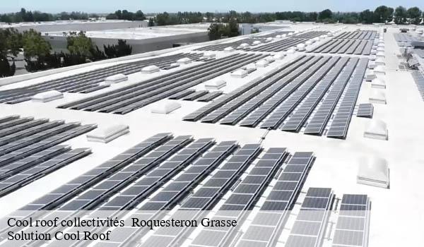 Cool roof collectivités roquesteron-grasse-06910 Solution Cool Roof