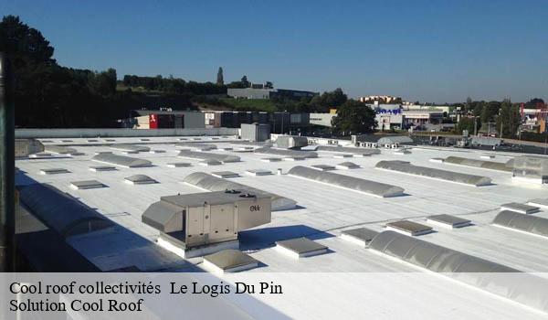 Cool roof collectivités le-logis-du-pin-06750 Solution Cool Roof