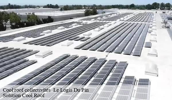 Cool roof collectivités   le-logis-du-pin-06750 Solution Cool Roof 