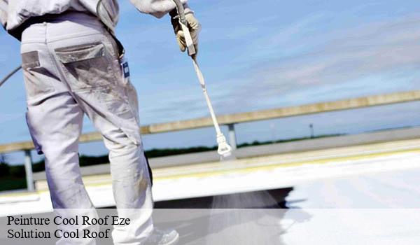 Peinture Cool Roof eze-06360 Solution Cool Roof