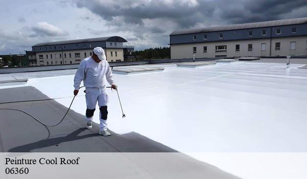 Peinture Cool Roof eze-06360 Solution Cool Roof
