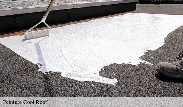 Peinture Cool Roof eze-06360 Solution Cool Roof