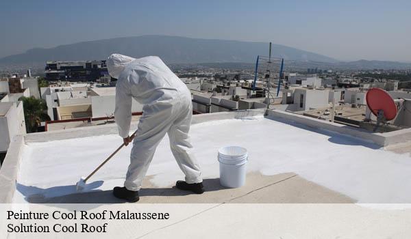Peinture Cool Roof malaussene-06710 Solution Cool Roof