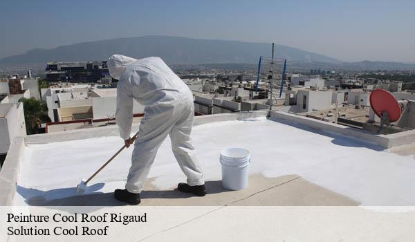 Peinture Cool Roof rigaud-06260 Solution Cool Roof
