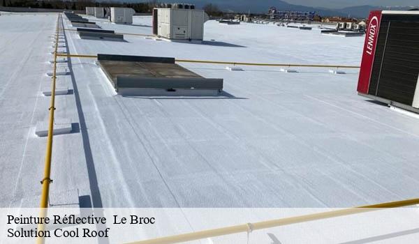 Peinture Réflective le-broc-06510 Solution Cool Roof