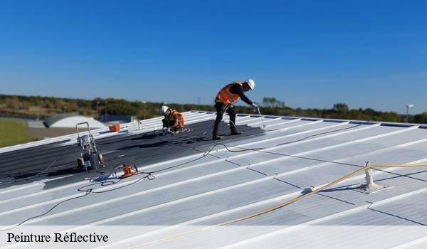 Peinture Réflective eze-06360 Solution Cool Roof